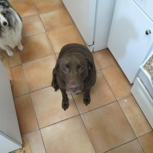 Maggie