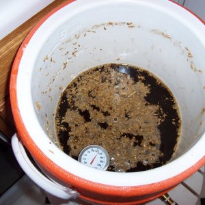 mainmashduringproteinrestafterpullingpartfordecoction