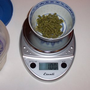 weighing1ozofHallertauHersbrucker