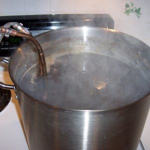 afterinsertingchillerintoboilingwort