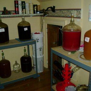 thebrewstation