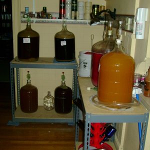 thebrewstation