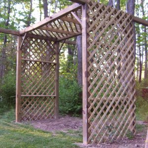 4290-springandsummerof2007053