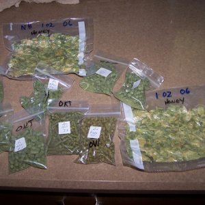Mmmmmhops