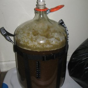 KolschFermenting