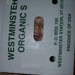 GoOrganic