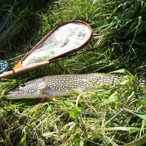 GrandRiverPike