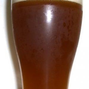 AgrippaIPA