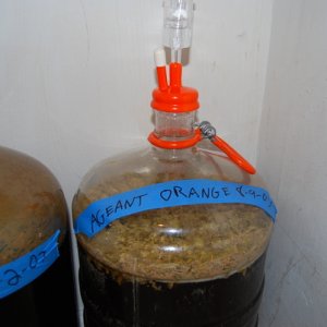 11258-BeerBrewing002