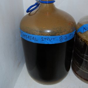 11258-BeerBrewing003