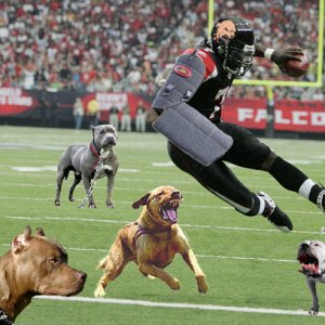 3761-Vick-scramble