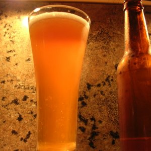 HoneyDoBlondeAle-firstedition