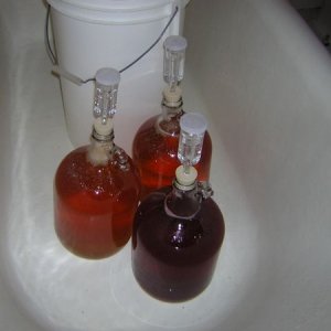 ApfelweinCran1