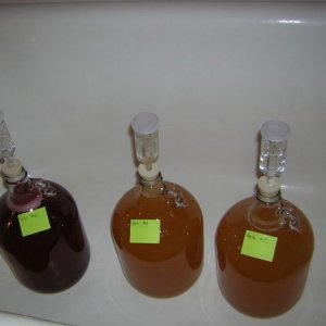 ApfelweinCran2