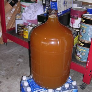 NoneofYourBeeswaxAPArackedtosecondary