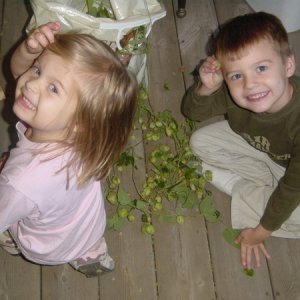 3548-kidshops2