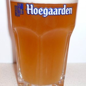 ohiobrewtusHoegaarden2