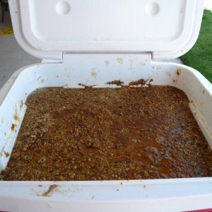 ThunderstruckBrewDay92107