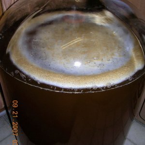 Apfelweinpic1
