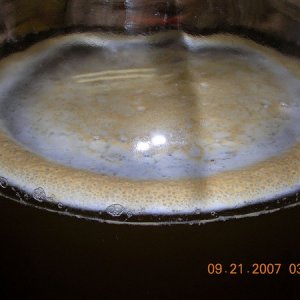 Apfelweinpic3