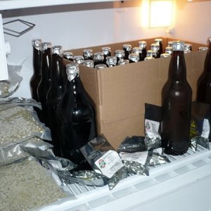 ChillingSanitizedBottlesforfillingfromkeg