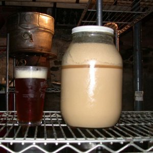 Massivestarter