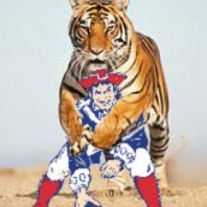 1917-bengal_fucking_patriot