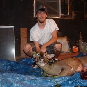 Brents2007Doe
