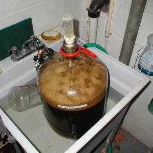 4914-csferment