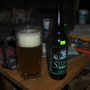 4907-stoneipa