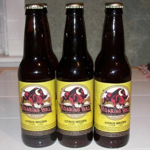 5841-RoaringBullonBottles