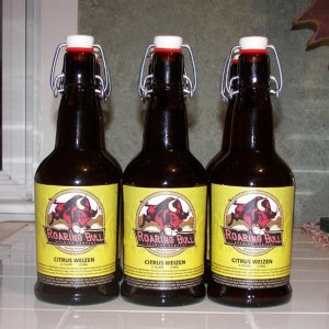 5841-RoaringBullonBottles2