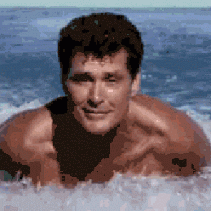 4579-hasselhoff