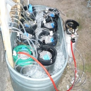 BrewBin