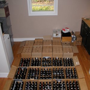 Bottleseverywhere
