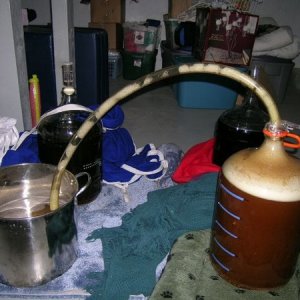 13719-MyThreeSons2007-0022