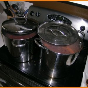 13719-Chili001