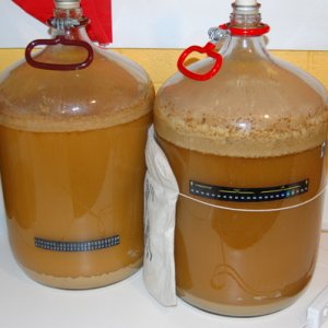 tripeltwins