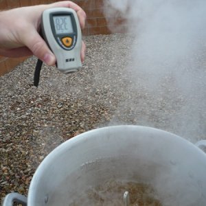 FriedTurkey2007