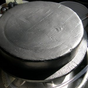 Plasti-Diplidproject