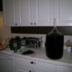 13719-Kegging001