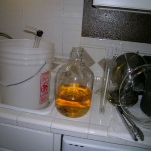 13719-Kegging004