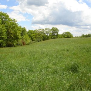 15096-MyHobbyFarm