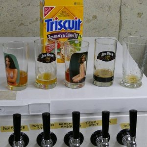 MoreSamplingmovedontosomebiggerglassware