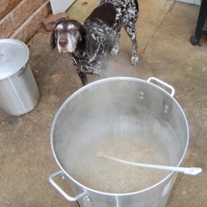 4914-smashboil