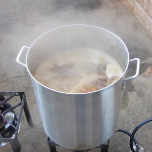 4914-wbockboil