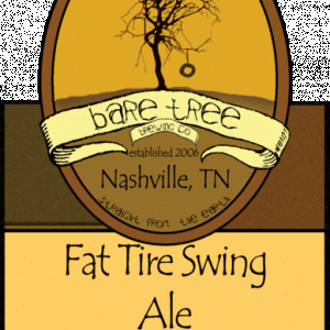 5436-tireswing