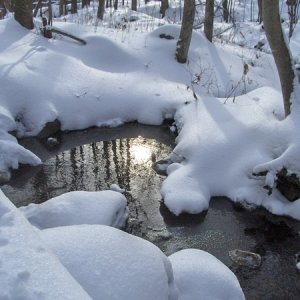 Palechampagnesunreflected