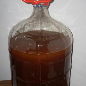 FirstBrewinthePrimary