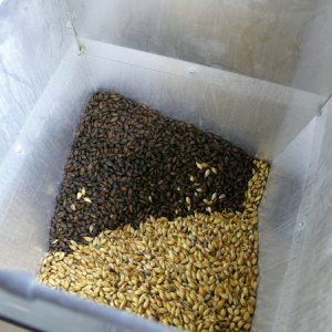 RIS-888Brewed01-01-08